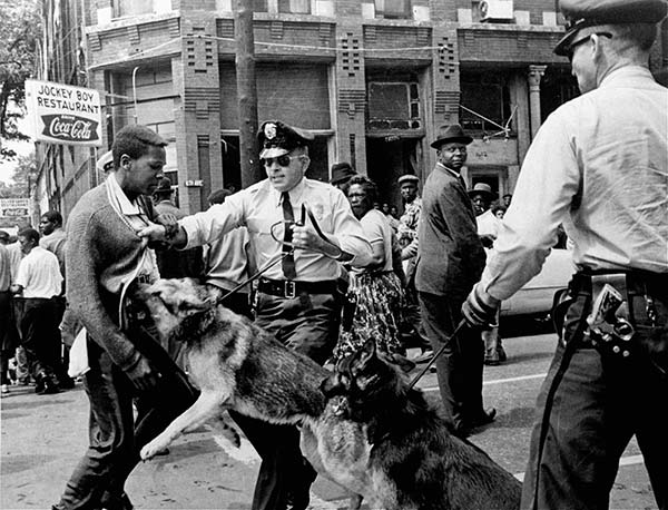 Police dogs attacking a teenager.